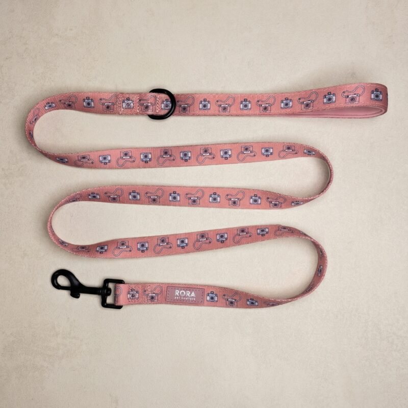 Povodec Pink Snapshot