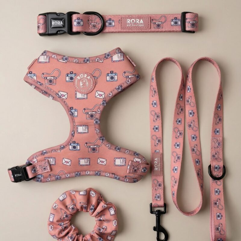 | Matchy Set | Pink Snapshot