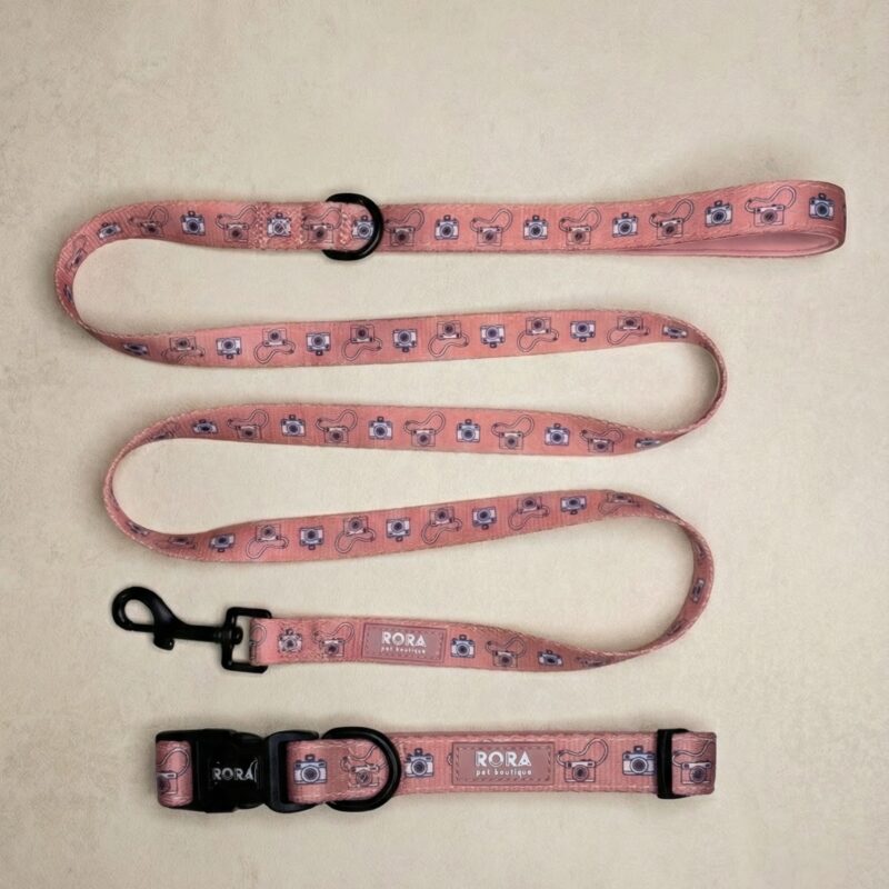 | OVRATNICA + POVODEC | Pink Snapshot paket