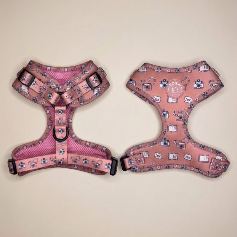 | Matchy Set | Pink Snapshot