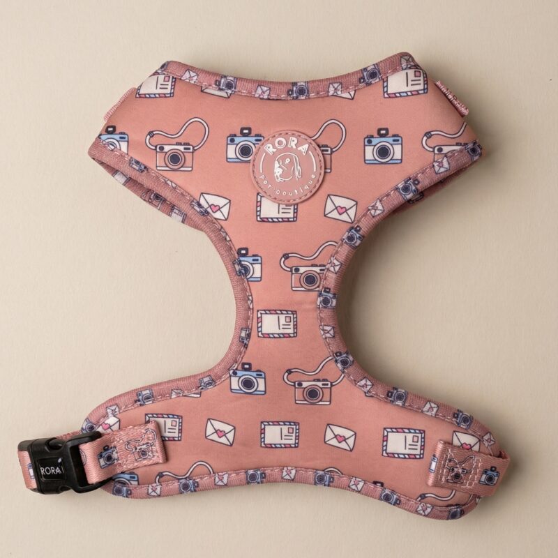 Oprsnica Pink Snapshot