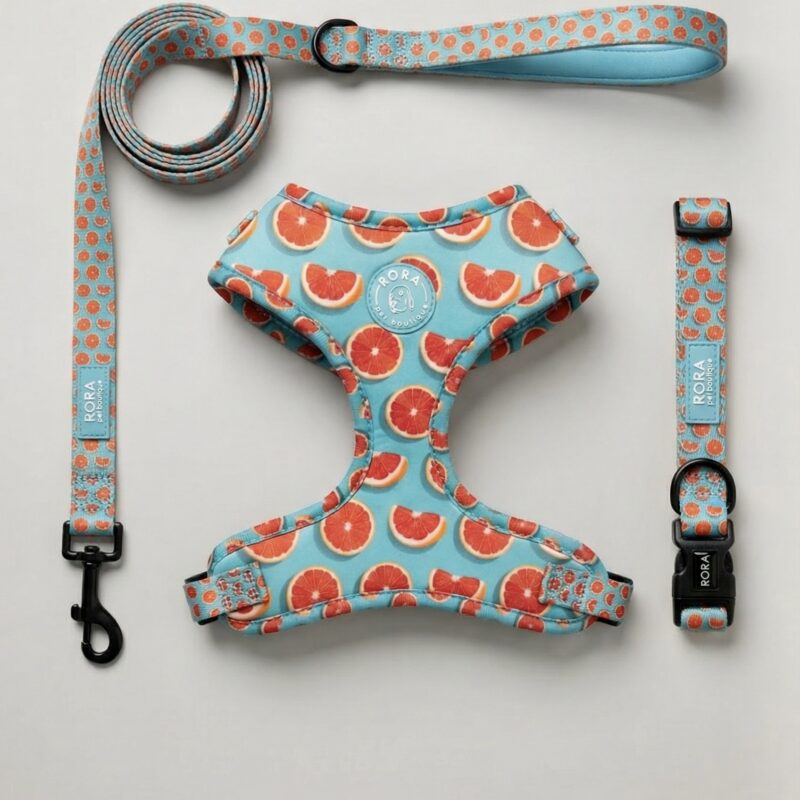 | Matchy Set | Orange Crush